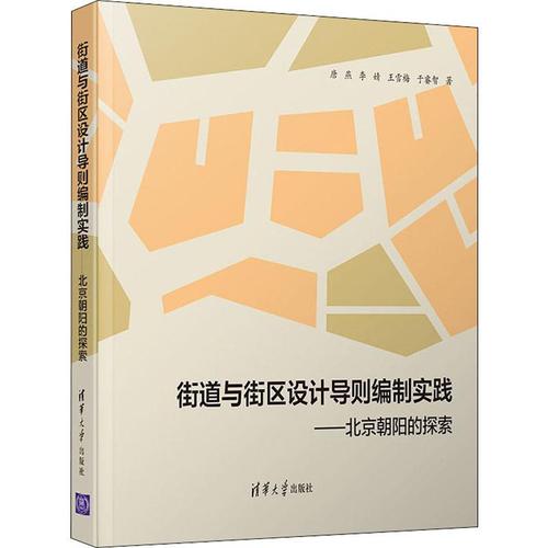 街道与街区设计导则编制实践——北京朝阳的探索 唐燕 等 著 建筑
